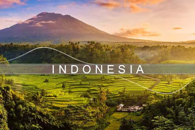 هتل های کوتا