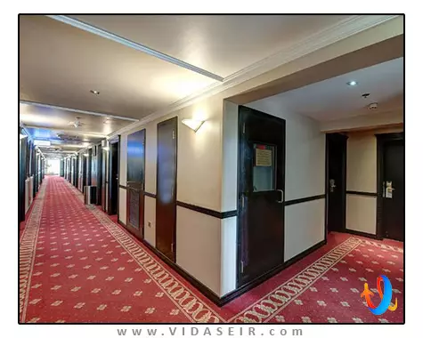 گلدن تولیپ دیره دبی