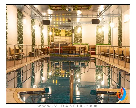 گلدن تولیپ دیره دبی