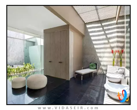 دبلیو بالی سمینیاک