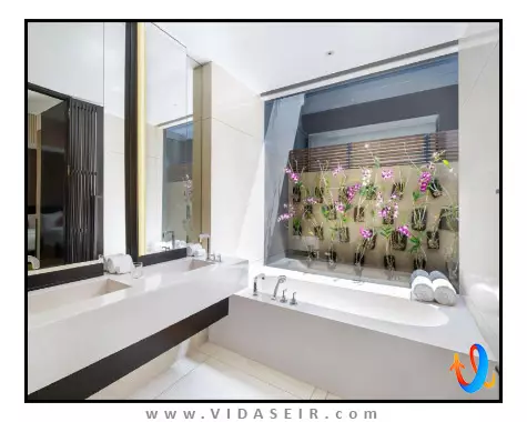 دبلیو بالی سمینیاک