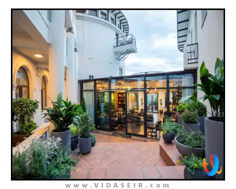 آدامو تفلیس