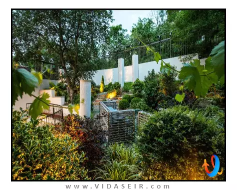 آدامو تفلیس