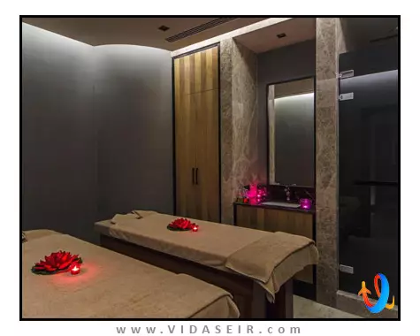 آرتز هاربیه