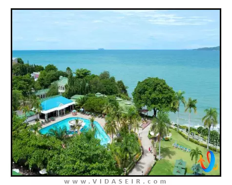 آسیا پاتایا