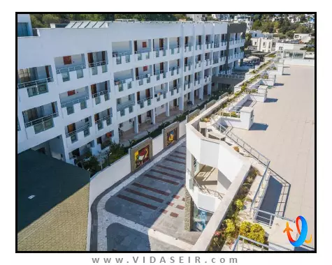 آفیتوس بدروم