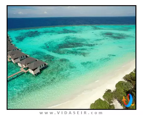 آماری هاوودا مالدیو