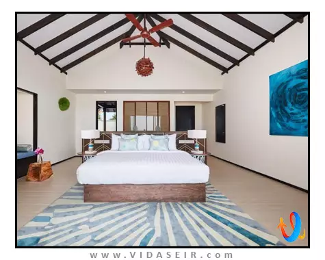 آماری هاوودا مالدیو