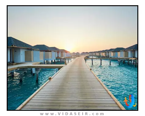 آماری هاوودا مالدیو