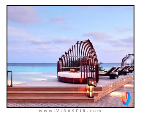 آماری هاوودا مالدیو