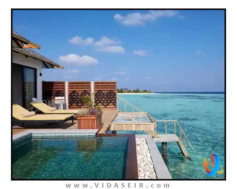 آماری هاوودا مالدیو