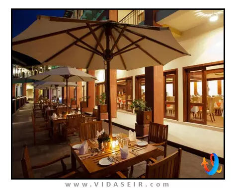 آمایا هیلز کندی