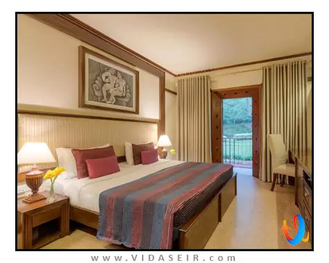 آمایا هیلز کندی