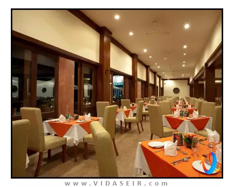 آمایا هیلز کندی