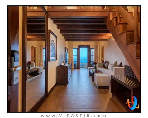 آمایا هیلز کندی