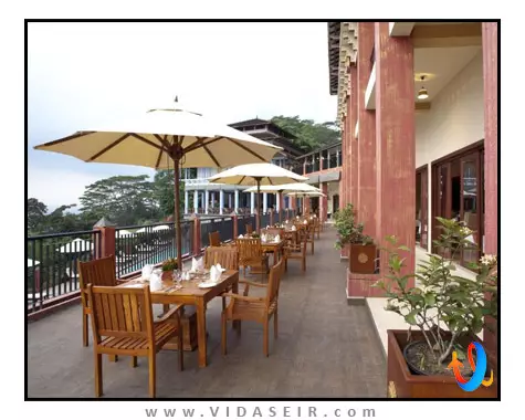 آمایا هیلز کندی