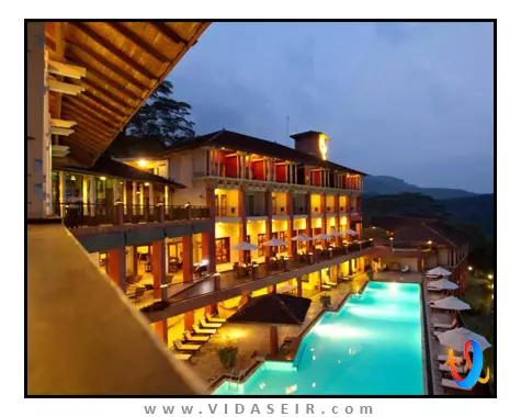 آمایا هیلز کندی