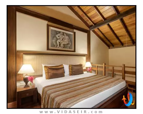 آمایا هیلز کندی