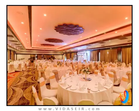 آمایا هیلز کندی