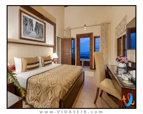 آمایا هیلز کندی