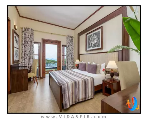 آمایا هیلز کندی