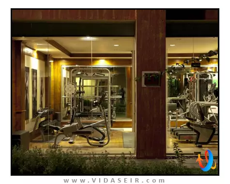 آمایا هیلز کندی