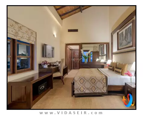 آمایا هیلز کندی