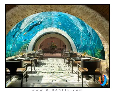 آپوروا کمپینسکی بالی