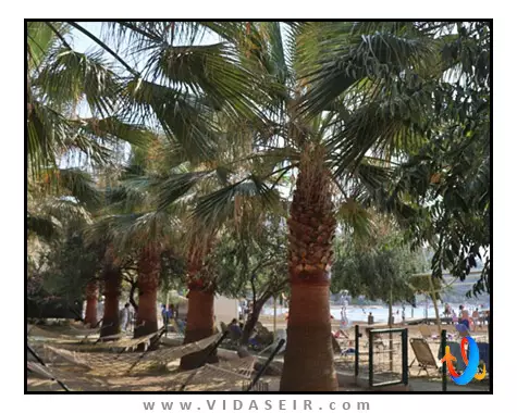 آکوا فانتزی آکواپارک کوش آداسی