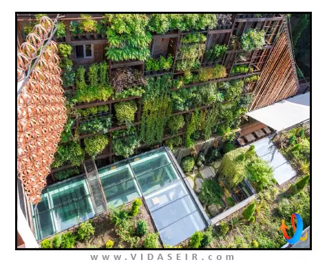 آیوتا تفلیس