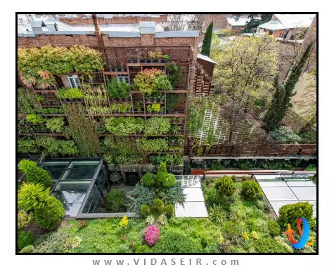 آیوتا تفلیس