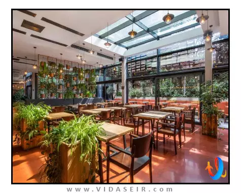 آیوتا تفلیس