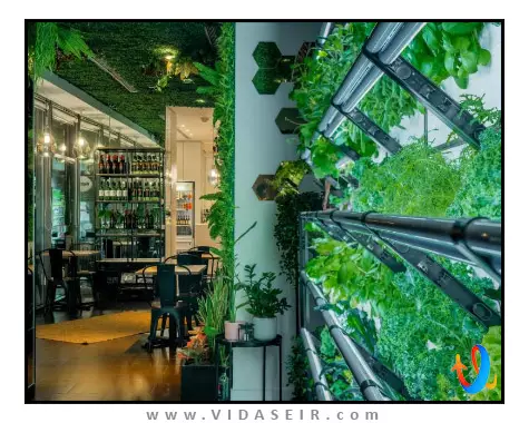 استودیو ام سنگاپور