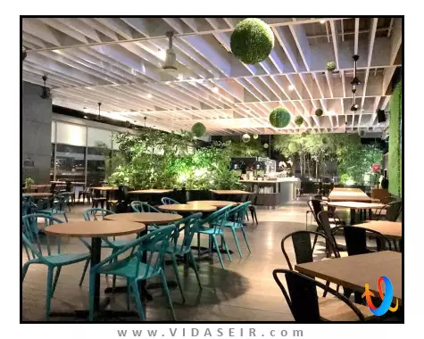 استودیو ام سنگاپور