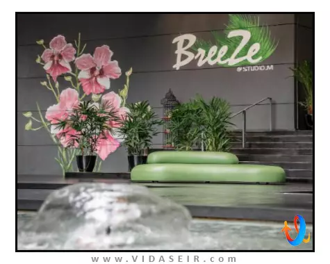 استودیو ام سنگاپور