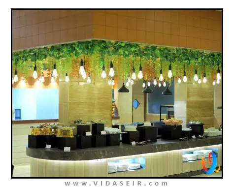 اسکاک لاید گرند دهلی