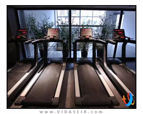 ال ام کلاب تفلیس