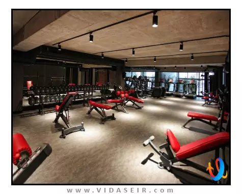 ال ام کلاب تفلیس