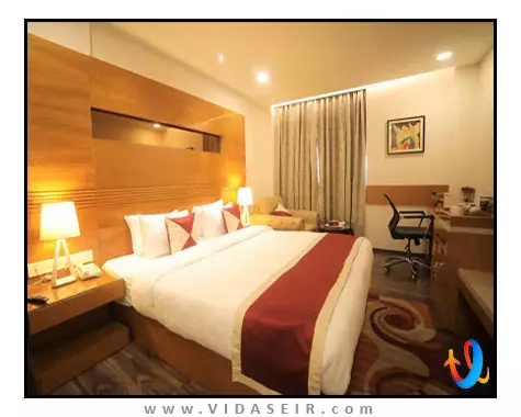 ال ای نیو دهلی