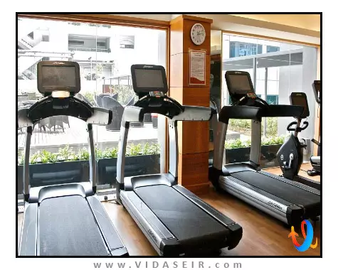 اورچارد سنگاپور