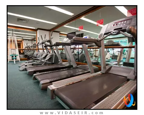 اورگرین لورل پنانگ