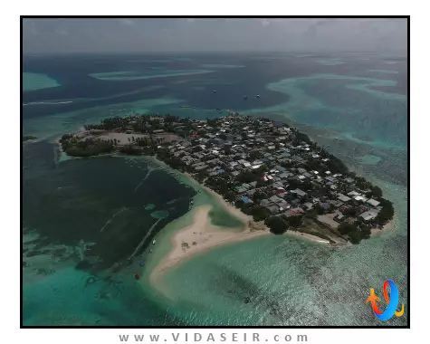 اوشن رتریت اند اسپا مالدیو