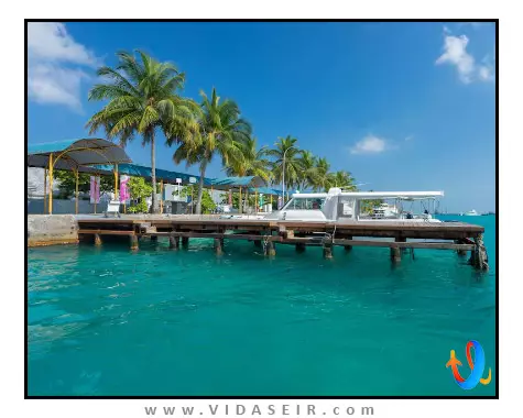 اوشن رتریت اند اسپا مالدیو