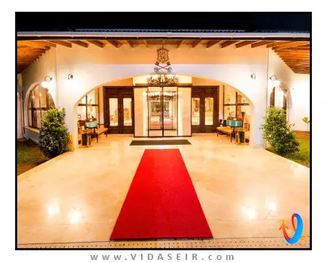 اولیو تری قبرس شمالی