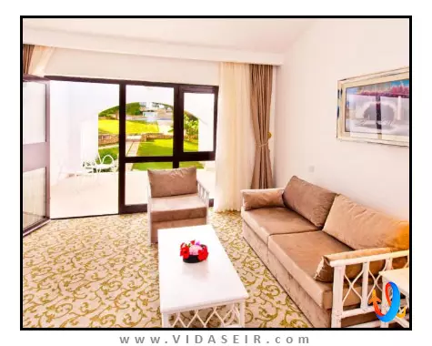 اولیو تری قبرس شمالی