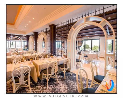 اولیو تری قبرس شمالی