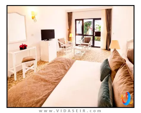 اولیو تری قبرس شمالی