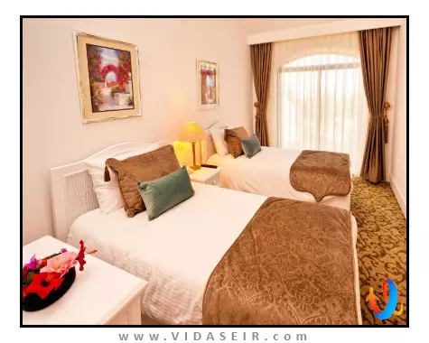 اولیو تری قبرس شمالی