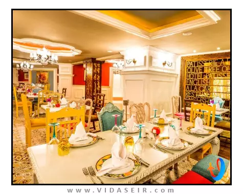 اولیو تری قبرس شمالی