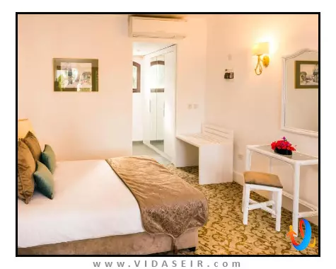 اولیو تری قبرس شمالی